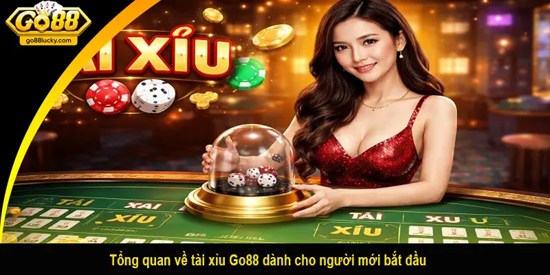 Tổng quan về tài xỉu Go88 dành cho người mới bắt đầu
